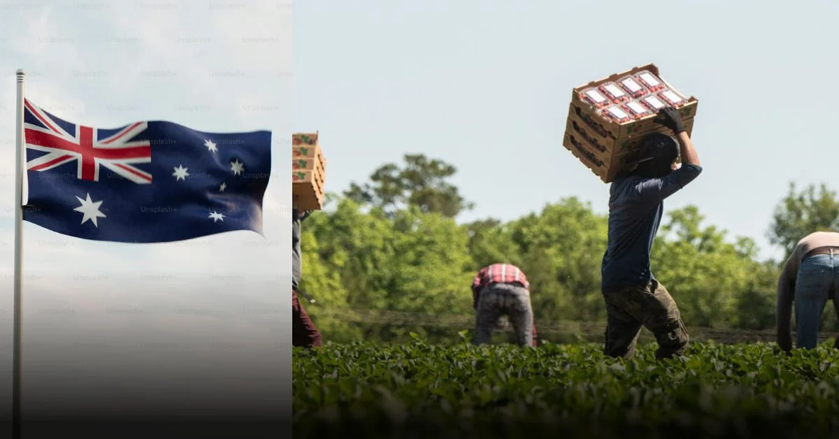 Australia Farm Worker Visa Jobs – Legal Work & Application Process