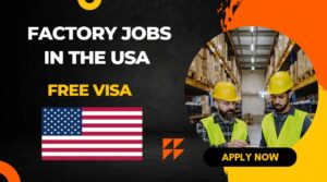 Factory Jobs in the USA for Non-Degree Holders